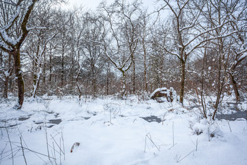 Maltakva park in winter time, Poti, Georgia