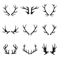 Naklejka premium Deer antlers icon set. Horns icon collection isolated on white background. Vector illustration.