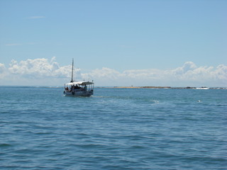 Landscape Nature Paradise