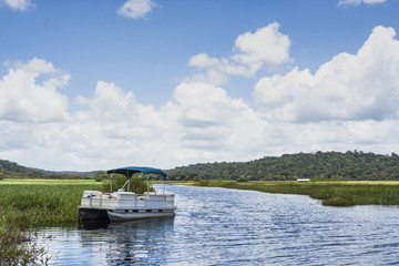 Marais de Kaw in French Guiana.