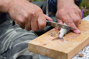 Fisherman cleans a knife fresh caught grayling