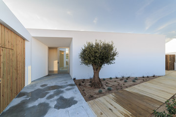 Modern house with  wooden deck and olive tree
