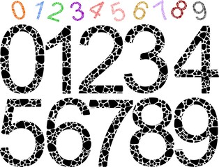 shaped colored numbers