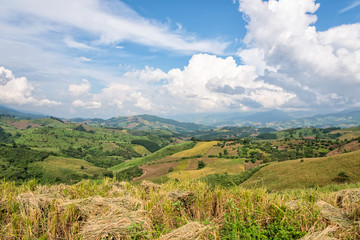 Fototapeta na wymiar Beautiful landscape of rice farmland on the foothill in northern Thailand