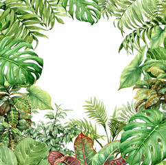 Obraz premium Akwarela zielone tło z roślinami tropikalnymi
