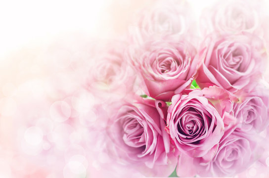 Close up of rose flower bouquet with blur bokeh background