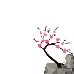 Blooming Japanese Sakura. Pink cherry tree on a cliff. Isolated on white background. illustration
