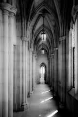 Obraz premium gothic hall
