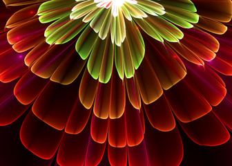 Fractal Pellucid Floral    Background -  Fractal Art  © kseniyaomega