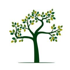 Green Tree. Vector Illustration.