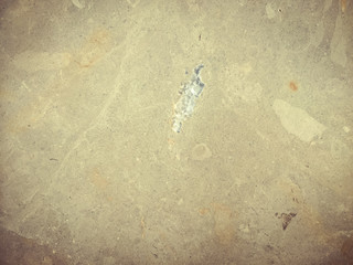 Closeup on marble texture surface background