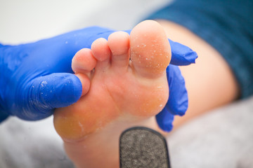 Fototapeta premium master pedicurist makes a pedicure female legs