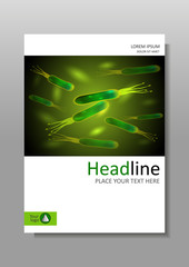 Helicobacter pylori bacteria Cover design template in A4.