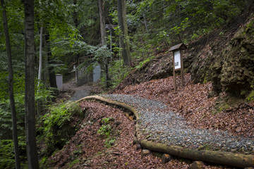 Percorso paesaggistico nel bosco