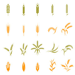 Wheat ears or rice icons set.