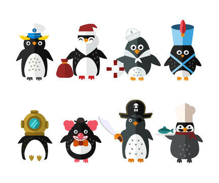 Penguin vector animal character illustration.