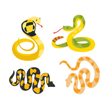 Snake reptile cartoon vector