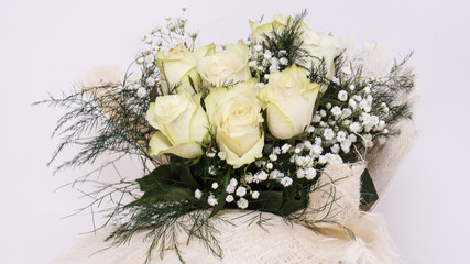 Yellow Roses
