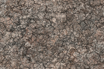 Wide repeating cracked soil pattern  