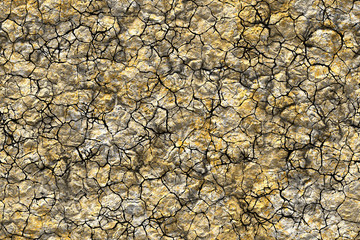 Wide repeating cracked soil pattern  