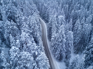bird's eye view on road in winter forest .
