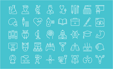 Set Vector Flat Line Icons Medical Education