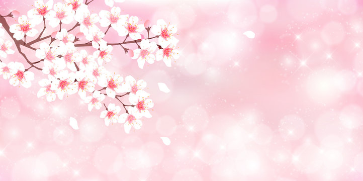 桜, さくら, 桜の花, 桜の木, 空, 木, 春, 花, 風景, アイコン, ピンク, 満開, 花見, 花びら, 自然, 白, かわいい, きれい, ベクター, イラスト, 素材