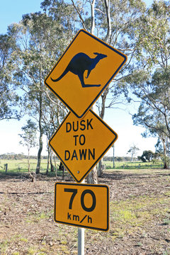 black and yellow kangaroo warning sign on a country road