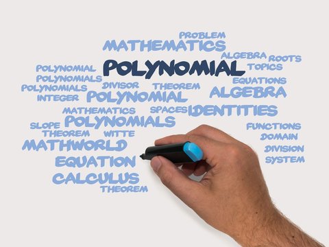 Polynomial