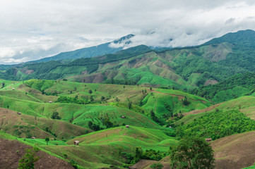 Fototapeta na wymiar Mountain agriculture in Nan Province,Thailand