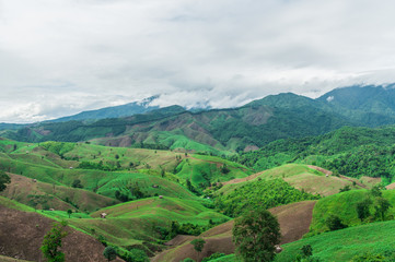 Fototapeta na wymiar Mountain agriculture in Nan Province,Thailand