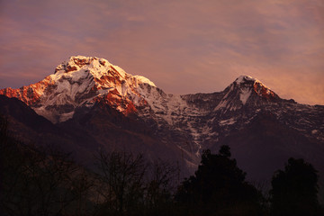 Gorgeous mountains of the Annapurna mountain range standing high in background with white craggy peaks lit with pink morning sunlight and covered with snow and ice. Famous alpine destination
