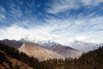 Obraz premium Wild nature, environment, travel and adventure concept. Gorgeous scenery of spacious valley with slopes covered with dense greenery, white craggy snow capped mountain peaks rising above in background
