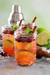 Refreshing winter cocktail with lime and cranberry