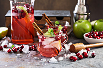 Obraz na płótnie Canvas Winter refreshing cocktail with apples and cranberry