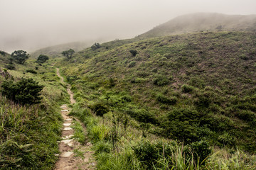 Path through the mountains