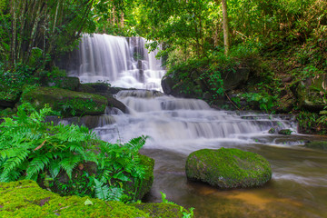 beautiful waterfall in rainforest at phu tub berk mountain  phet