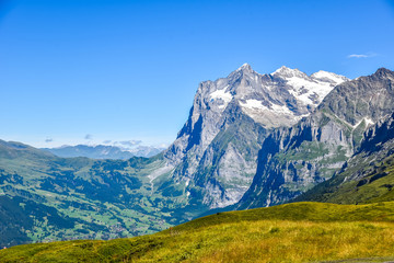 Fototapeta premium Grindelwald - beautiful village in mountain scenery - Switzerland