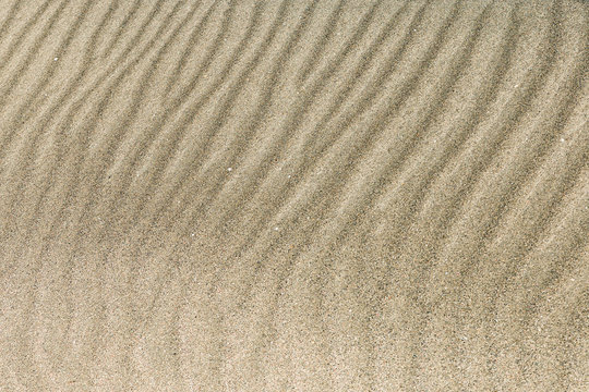 Light sand texture for a background. Abstract texture Waves on the sand in the desert. Patterns in the sand. Seamless texture of sand.