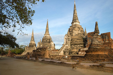 Fototapeta premium Three stupas of Buddhist temple Wat Phra Si Sanphet in the early morning. Ayuthaya, Thailand