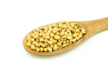 soy beans in wood spoon isolated on white background.