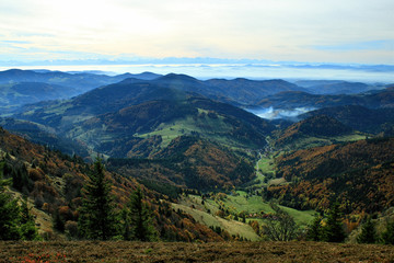 Fototapeta na wymiar Hiking impressions in the Black Forest in Germany