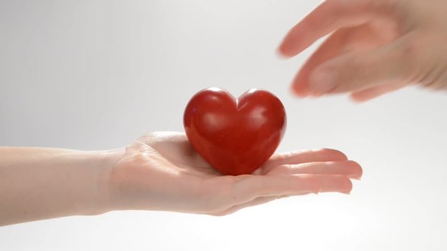 Red heart in woman and man hands.