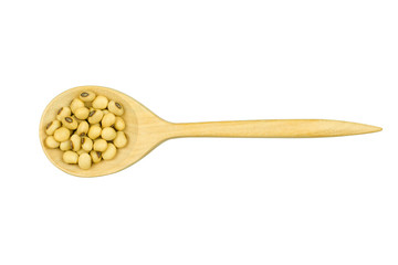 soy beans in wood spoon isolated on white background.