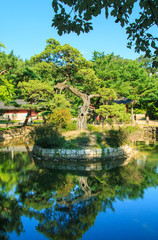 Fototapeta na wymiar small pond at Jongmyo Shrine in Seoul, Korea