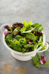 Spring mix salad leaves in a collander