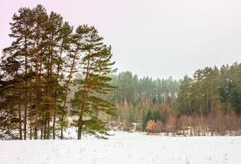 zima na Warmii © Janusz Lipiński