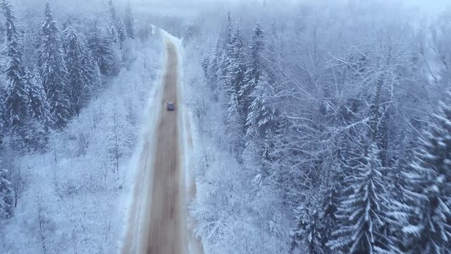 the car rides on the snow-covered forest road, aerial view