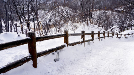 Snow and curved walkway in the forest Noboribetsu onsen winter