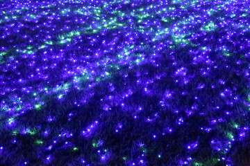 青と緑にライトアップされた芝生
